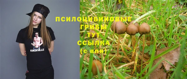 ешки Абдулино