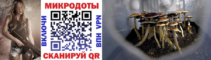 цена наркотик  Зерноград  Галлюциногенные грибы Cubensis 