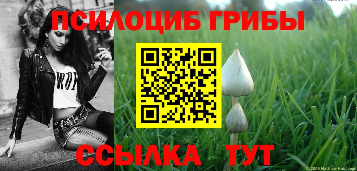 Псилоцибиновые грибы Cubensis  Псилоцибиновые грибы GOLDEN TEACHER  Вход с VPN  Зерноград 